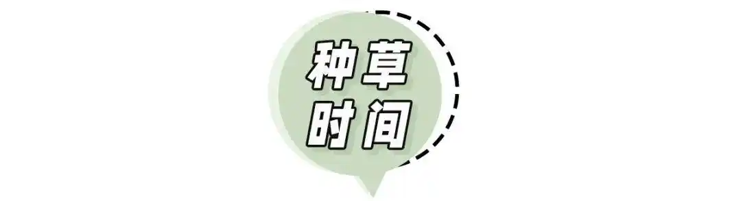 疫情烤冷面大赛_厨具大全图片_精致餐具摆盘