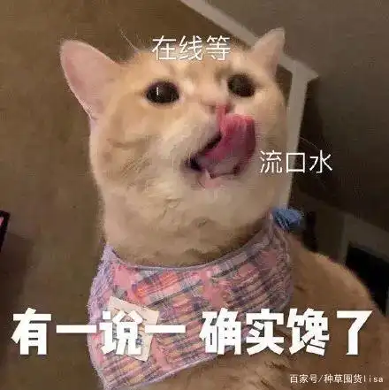 精致餐具摆盘_厨具大全图片_疫情烤冷面大赛