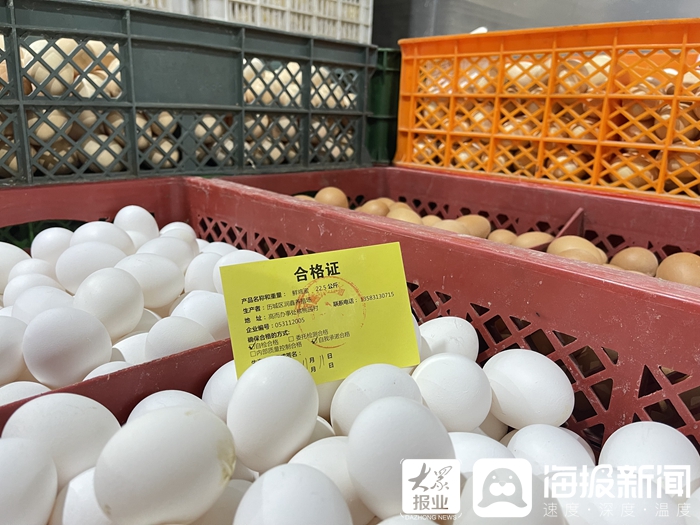 济南市学生午餐配餐企业_济南中小学中央厨房配餐服务_济南快餐厨具