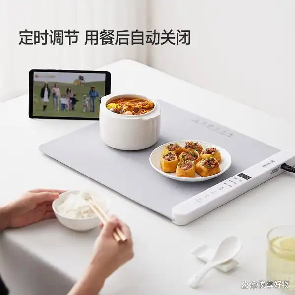 志高饭菜保温板推荐_志高厨具_饭菜保温板排行前十