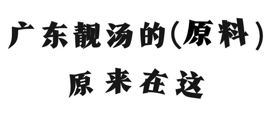 东门老街厨具市场_富宝东门市场 早茶 菜市场