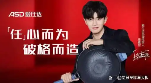 家用厨具品牌_厨房厨具品牌排名前十_苏泊尔爱仕达双立人炊大皇