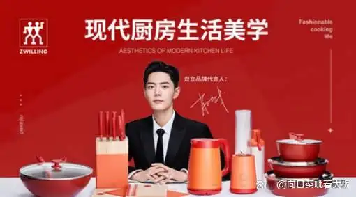 苏泊尔爱仕达双立人炊大皇_家用厨具品牌_厨房厨具品牌排名前十