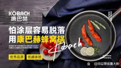 苏泊尔爱仕达双立人炊大皇_家用厨具品牌_厨房厨具品牌排名前十