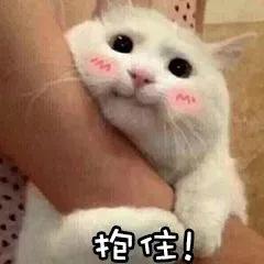 鸡肋厨房用品选购_家用厨具厨房设备_网红厨具推荐