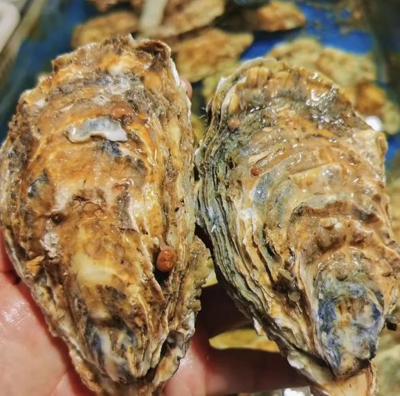 北京新发地市场精品水果交易区_北京合美渔都批发中心_北京厨具批发市场
